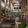 massive Douglas-fir columns in the Glacier Park Lodge lobby