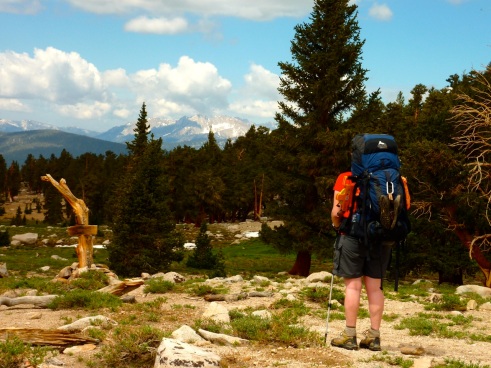 hiker carrying dark blue Gregory Petit Dru Pro backpack, forest and mountains in background
